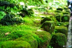 長谷寺(^o^)