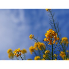 6C36DF8C-87A0-466B-9D2C-72E0537E4789