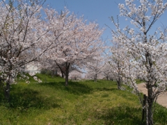 24E8F77D-3BF4-465D-945E-B14B3650674F
