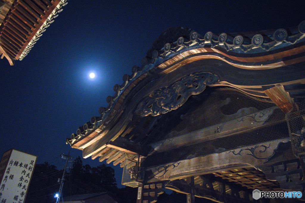 ブルームーン（鑁阿寺）