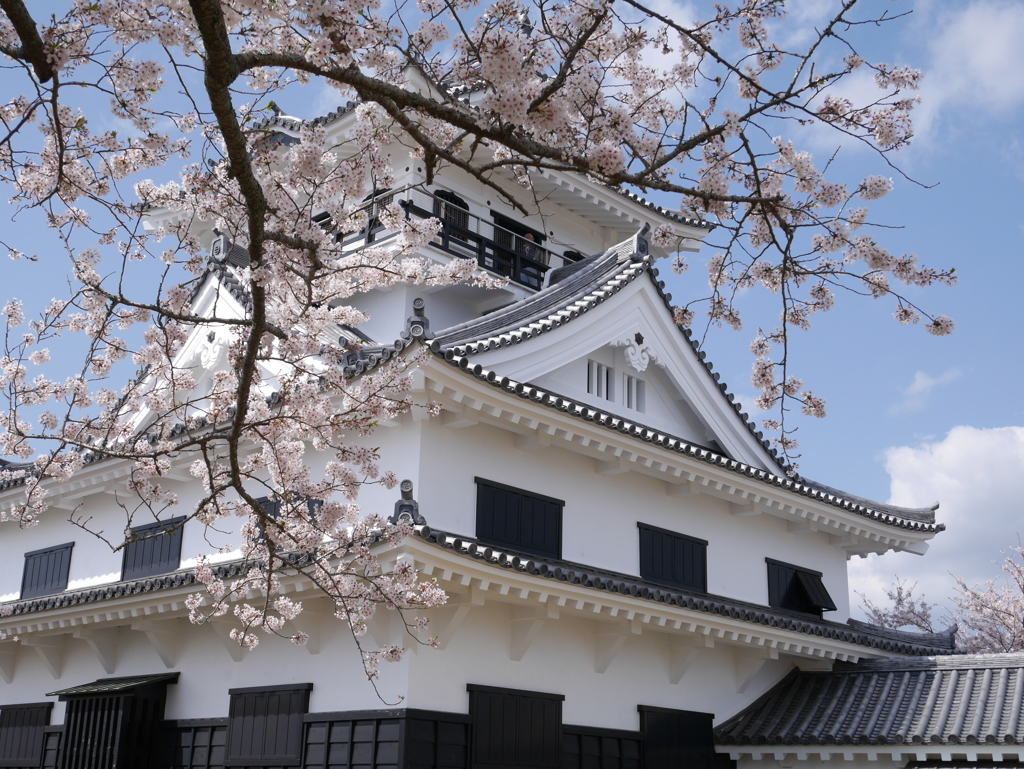 城と桜