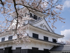 城と桜