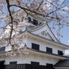 城と桜
