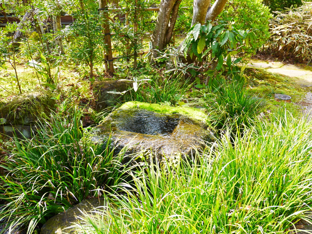 水と緑