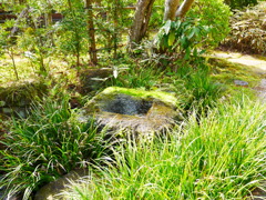 水と緑