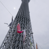 スカイツリーとこいのぼり