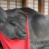 なでうし