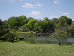 庭園
