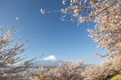 富士と桜