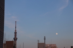 スカイツリーと月