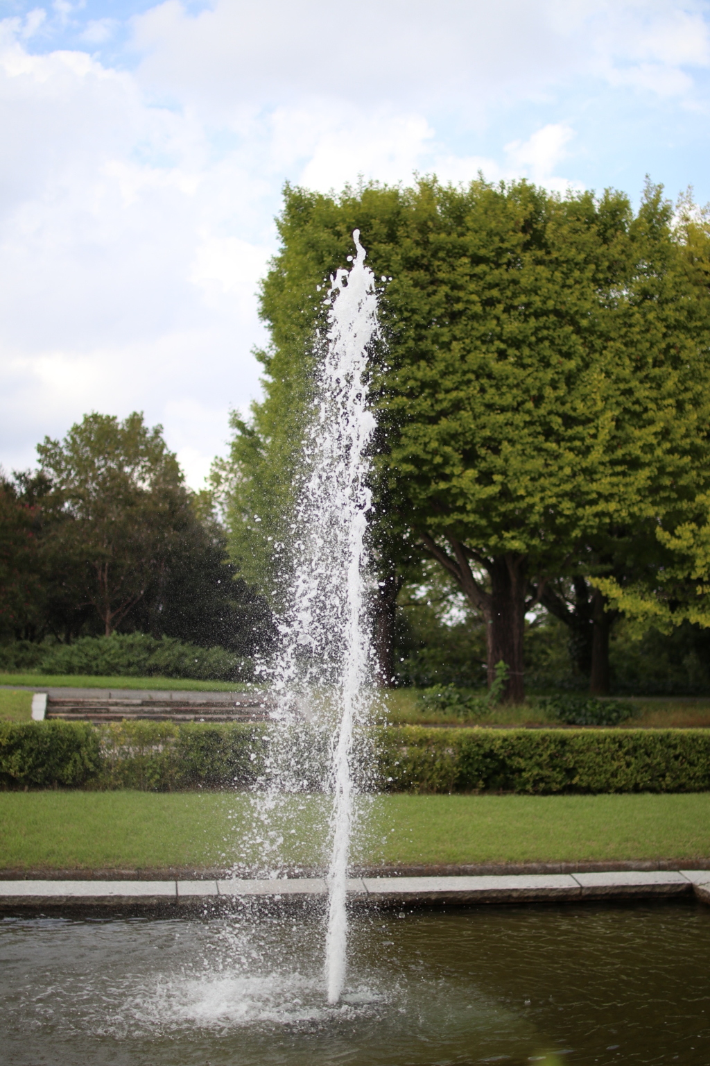 SPLASH