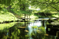 名水ふれあい公園①