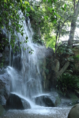 名主の滝公園その１