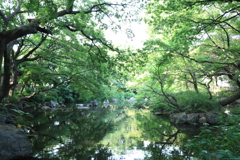 名主の滝公園その２