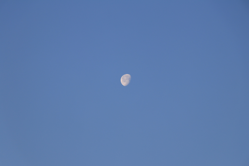 早朝の月