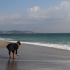 ほぼ初！ポートレート