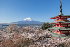 富士と桜