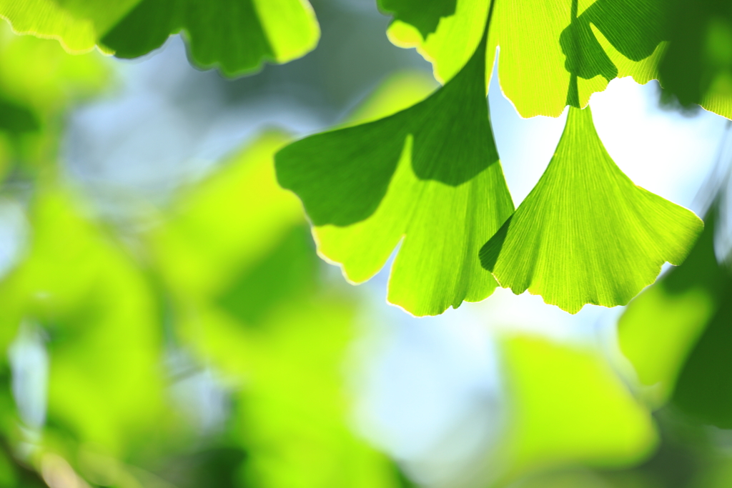 暦では初夏