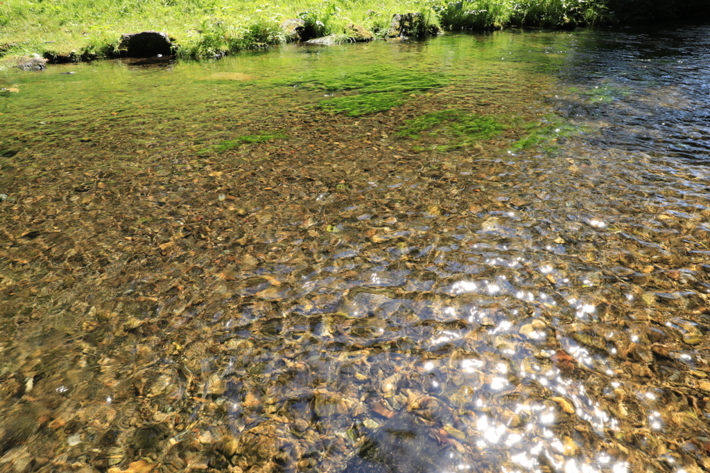 名水ふれあい公園③