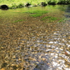 名水ふれあい公園③