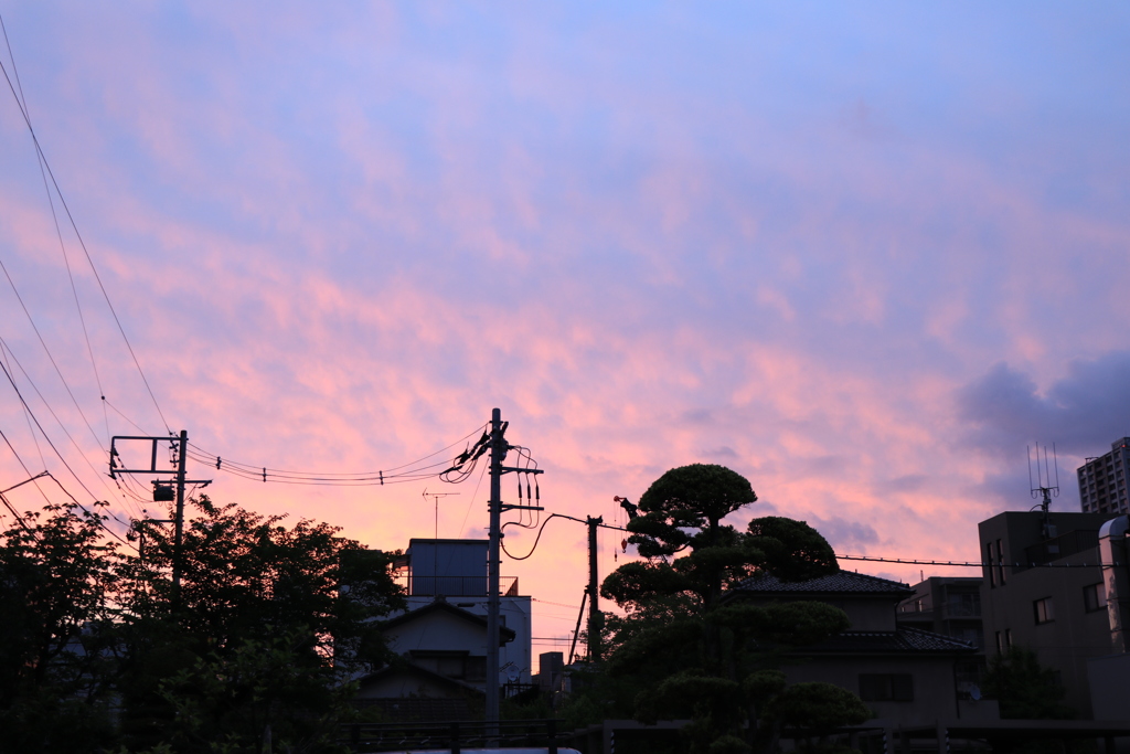 朝焼け