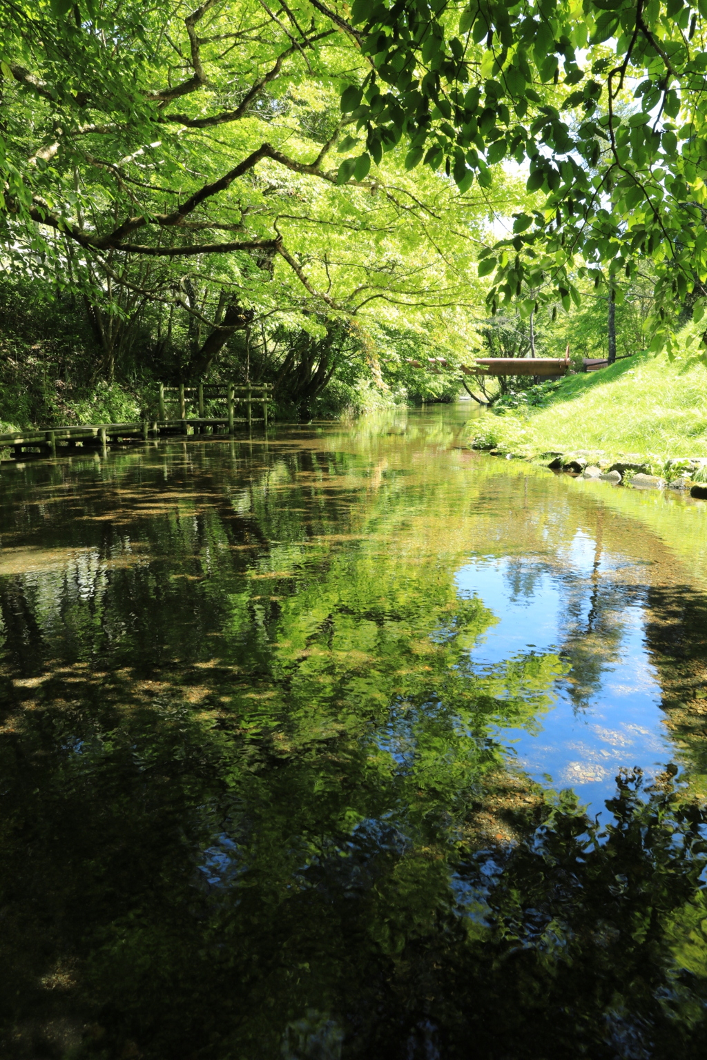 名水ふれあい公園②