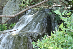滝その２