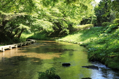 名水ふれあい公園⑤