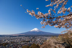 富士と桜