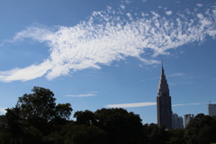 秋空？夏空？