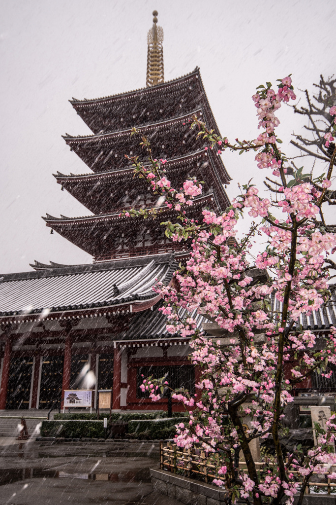 「雪降る浅草寺」-3