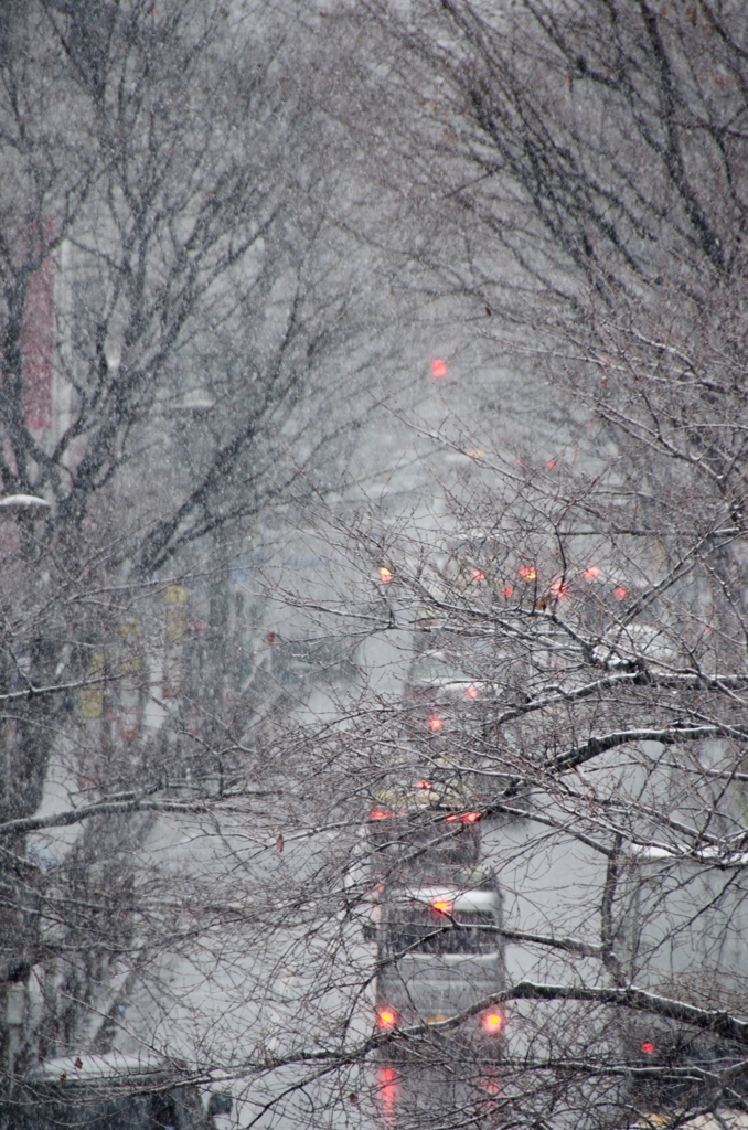 「雪降る日」