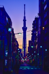 「夜明けの東京スカイツリー」DSC_1103