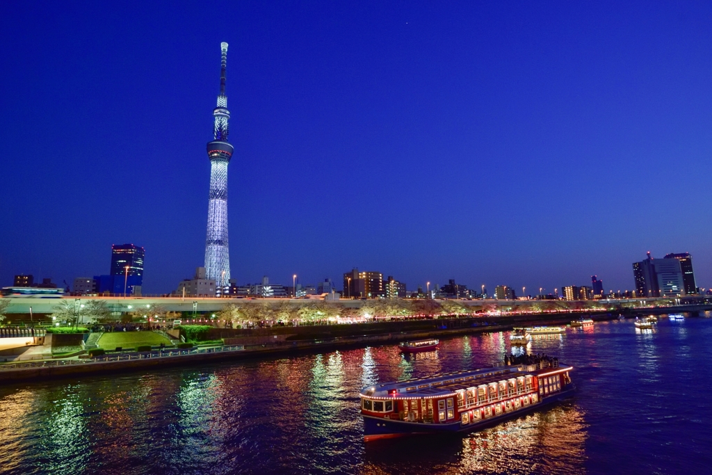 ［９４］「春の賑わい」DSC_8260