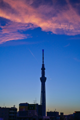 「朝焼けの雲とひこうき雲とスカイツリー」