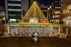「年末の灯り」-９