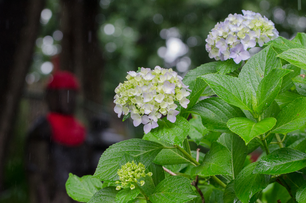 「雨に濡れて・上野公園」060614