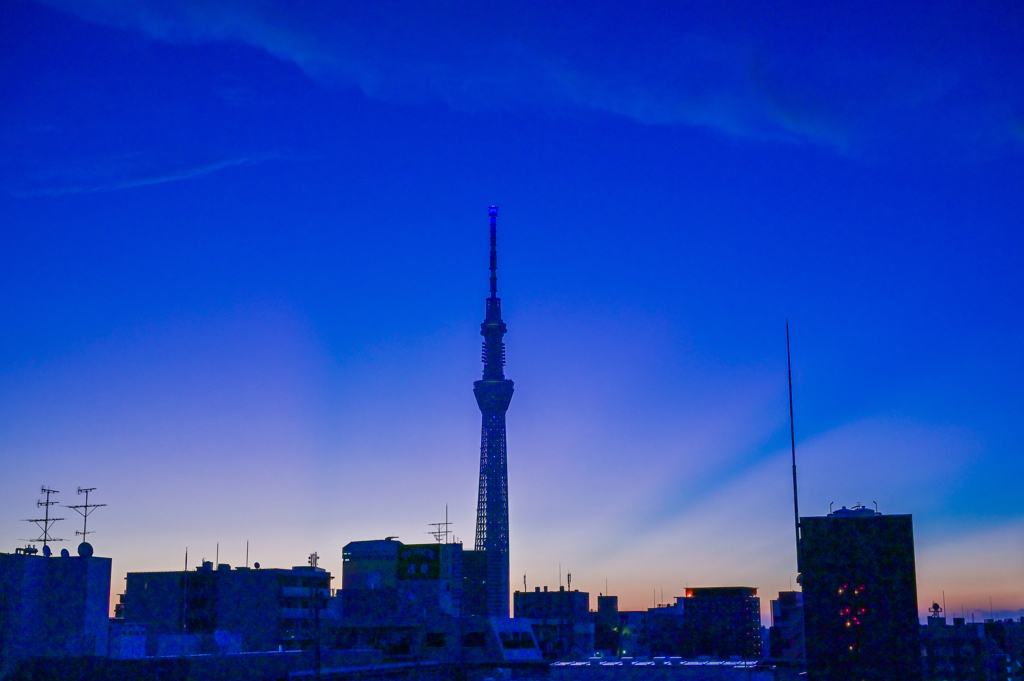 「夜明け前のスカイツリー」