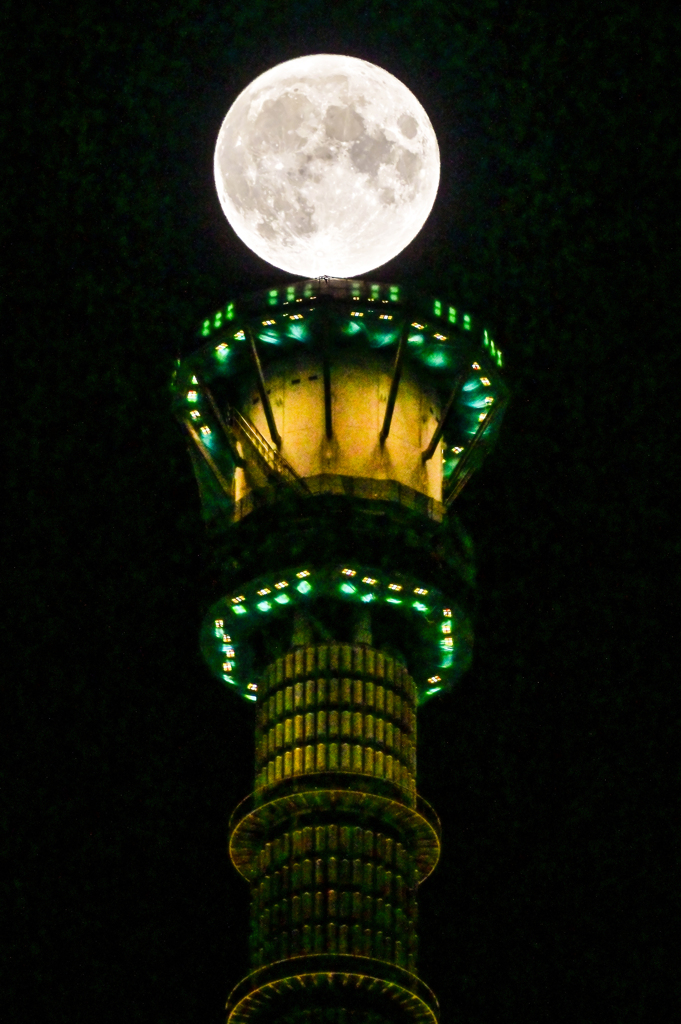 「スカイツリーの天辺に」