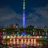 「屋形船と東京スカイツリーの灯り」