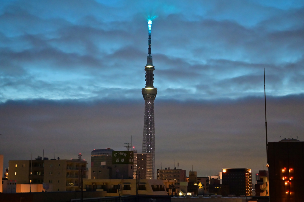 「黎明のスカイツリー」