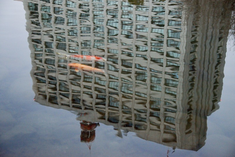 ［２］「水面」（日比谷公園）