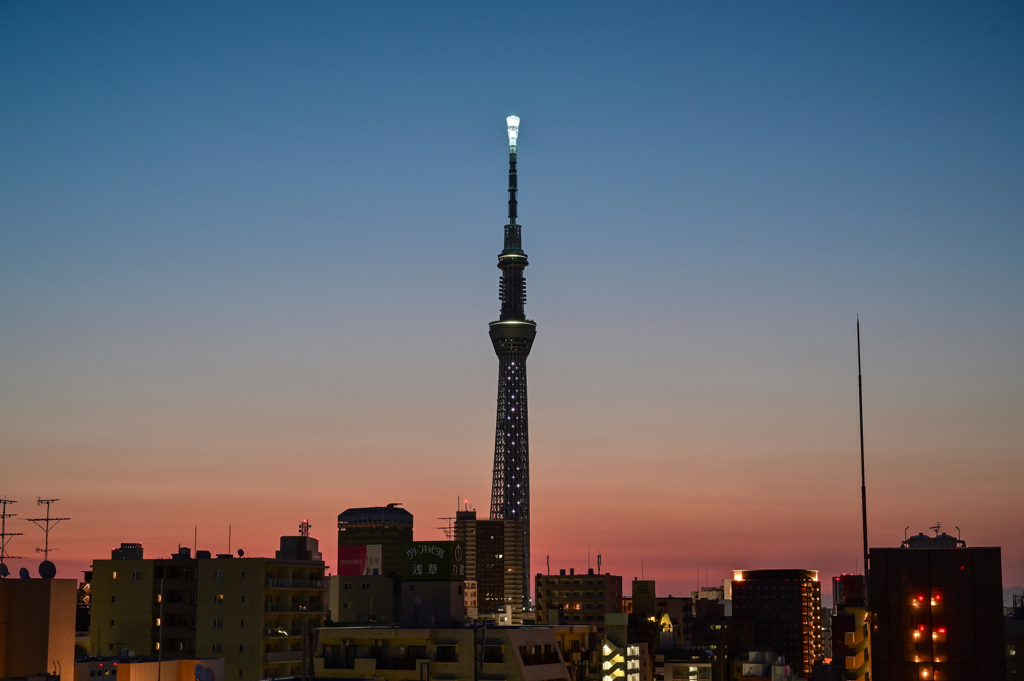 「夜明け前のスカイツリー」