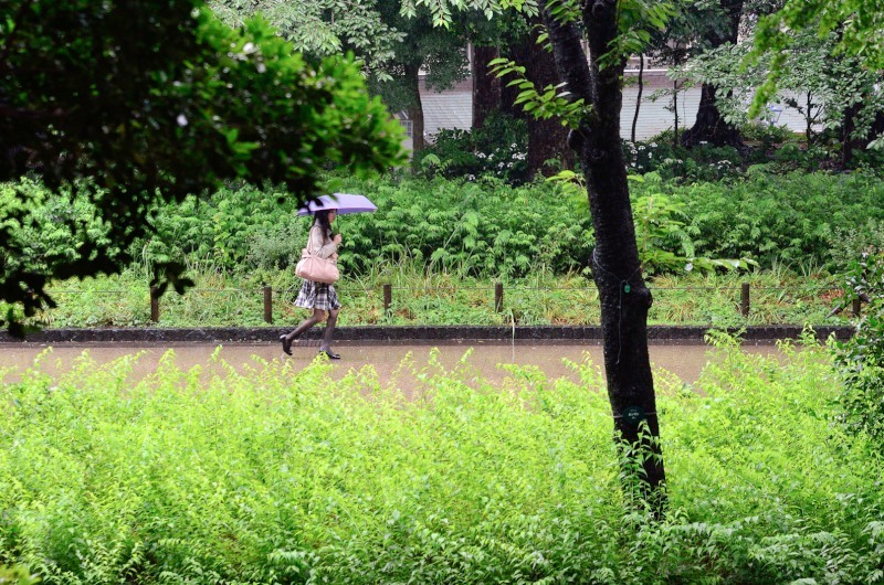 「雨にぬれて・上野公園」