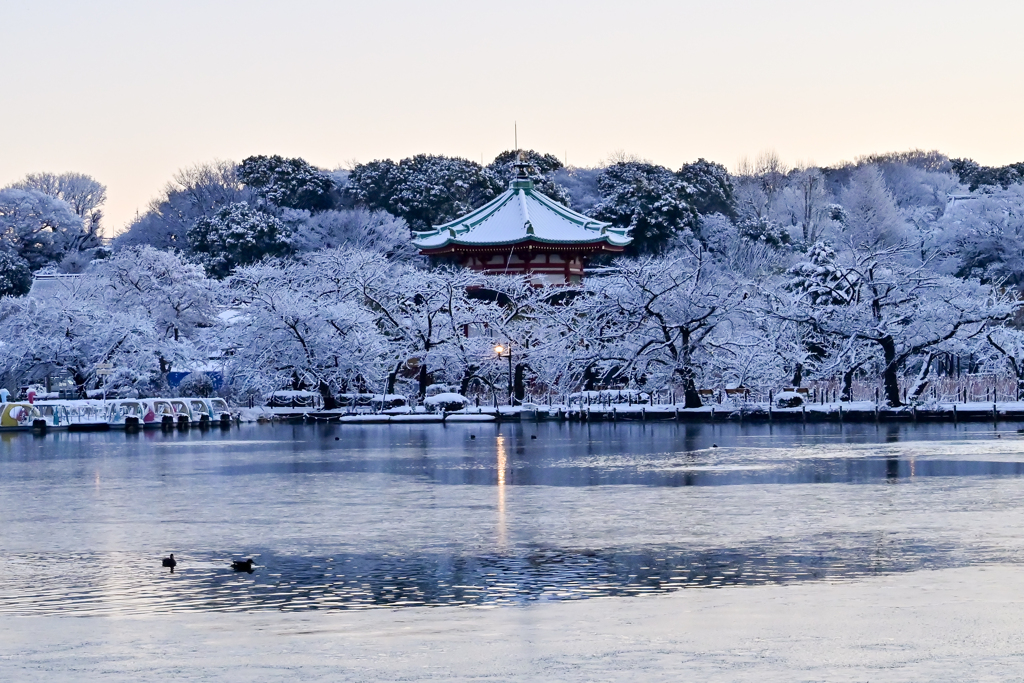 「雪花と弁天堂」