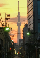 「夜明けの東京スカイツリー」IMG_0967