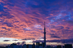 「今朝の空」