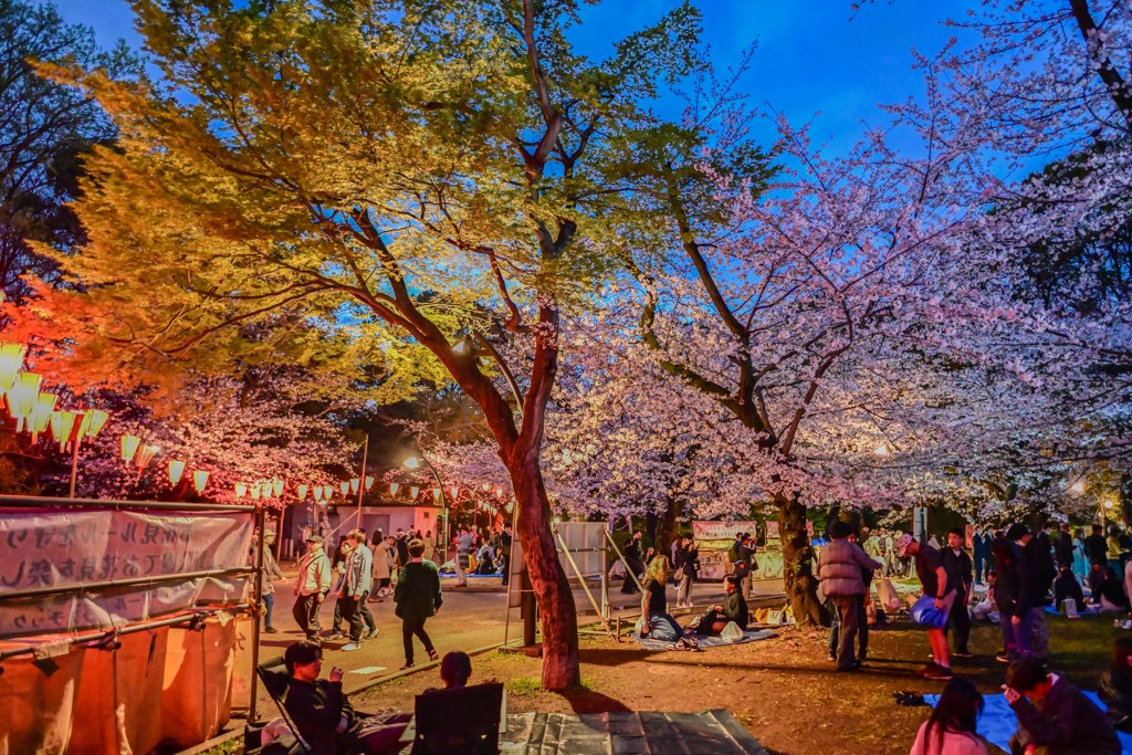 「上野公園の賑わい」