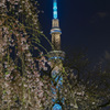 「枝垂桜と東京スカイツリー」