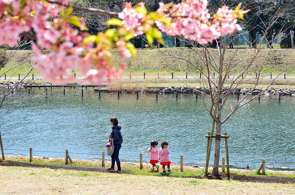 「春の日差しを浴びて」